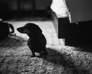 Image post by @bycorrigan on Instagram