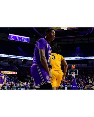 Image post by @leo.schlechter on Instagram