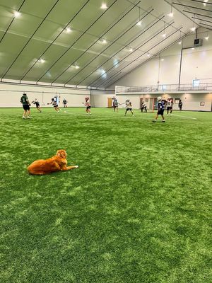 Image post by @hgrlacrosse on Instagram