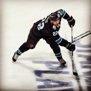 Image post by @sanjosesharks on Instagram
