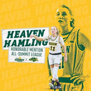 Image post by @ndsuwbb on Instagram