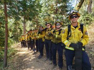 Image post by @calfire on Instagram