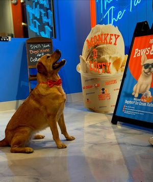 Image post by @dogstersicecream on Instagram