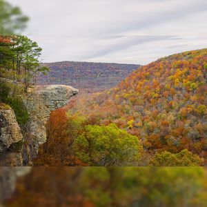 Image post by @chandlerwebercreative on Instagram