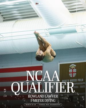 Image post by @brownu_mswimdive on Instagram