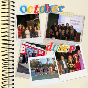 Image post by @ufvensa on Instagram