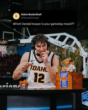 Image post by @vandalhoops on Instagram