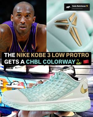 Image post by @soleretriever on Instagram
