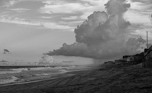 Image post by @taylornewtonphoto on Instagram