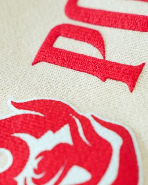 Image post by @portlandfirewnba on Instagram