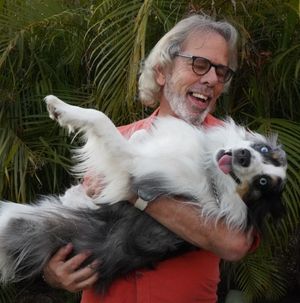 Image post by @johnwaltondogtraining on Instagram