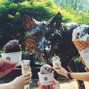 Image post by @ncstate on Instagram