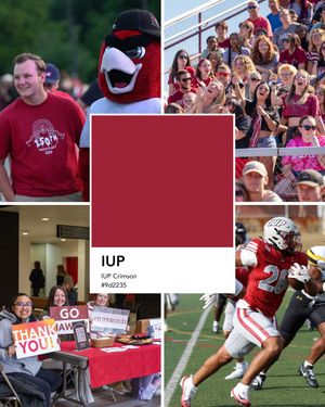 Image post by @iupedu on Instagram