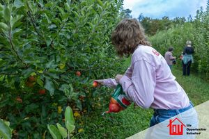 Image post by @lifeopportunities on Instagram