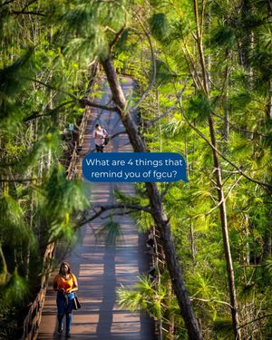 Image post by @fgcu on Instagram