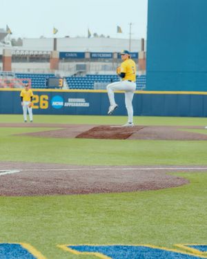 Image post by @umichbaseball on Instagram