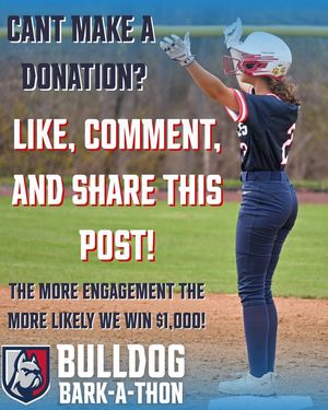 Image post by @DeSalesUniversitySoftball on Facebook