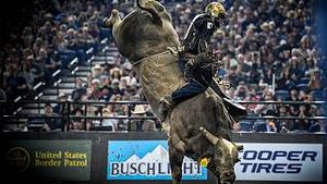 Video post by @pbr on YouTube