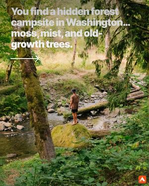 Image post by @hipcamp on Instagram