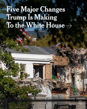Video post by @nytimes on TikTok