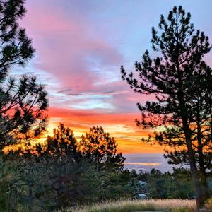 Image post by @9newsdenver on Instagram