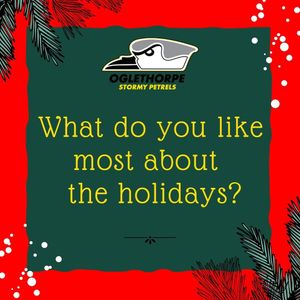 Image post by @gopetrelsmsoc on Instagram