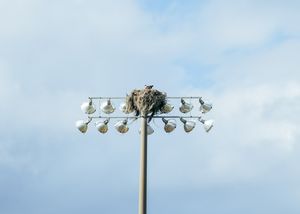 Image post by @cade.trenhaile on Instagram