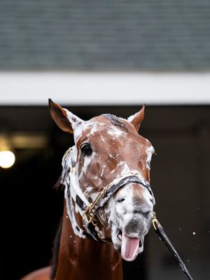 Image post by @americasbestracing on Instagram