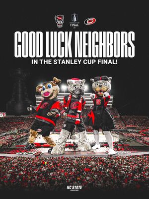 Image post by @PackAthletics on Twitter