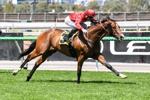 Image post by @flemingtonvrc on Instagram