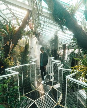 Image post by @jralli23 on Instagram