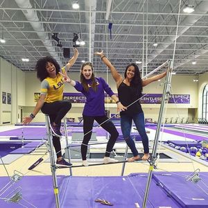 Image post by @lsugym on Instagram