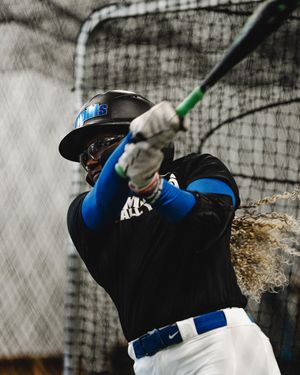Image post by @MemphisSoftball on Twitter