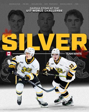 Image post by @stinghockey on Instagram