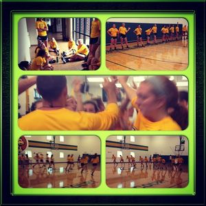 Image post by @wsuvball on Instagram