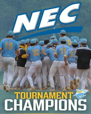 Image post by @liubaseball on Instagram