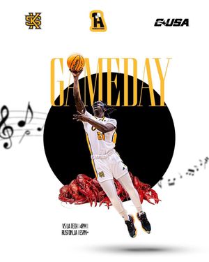 Image post by @ksuowlswbb on Instagram