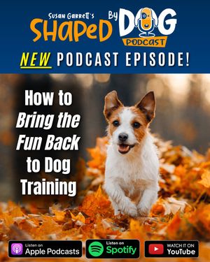 Image post by @susangarrettdogsthat on Instagram