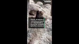Video post by @laopinionla on YouTube