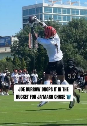Video post by @nfl on TikTok