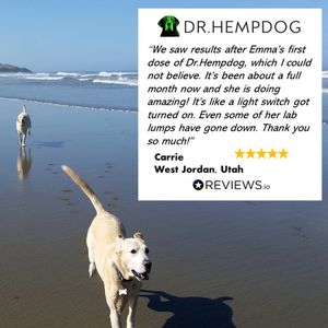 Image post by @drhempdog on Instagram
