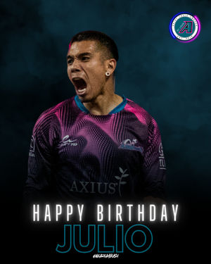 Image post by @stlouisambush on Instagram