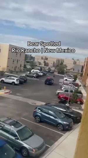 Video post by @_johnnyamerica on TikTok