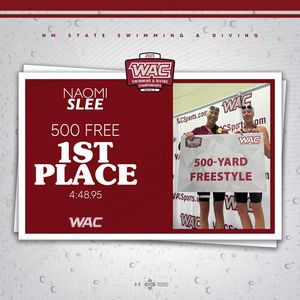 Image post by @nmstateswimdive on Instagram