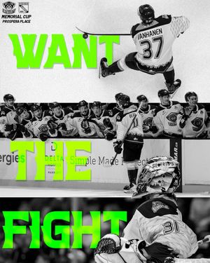 Image post by @WHLsilvertips on Twitter