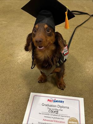 Video post by @petsmart on TikTok