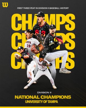 Image post by @wilsonballglove on Instagram