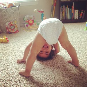 Image post by @stephaniehaselroth on Instagram
