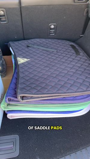 Video post by @kate.cassaidy on TikTok