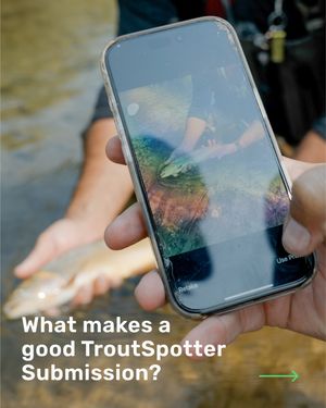 Image post by @troutunlimited on Instagram
